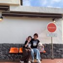 낭만냥이 레스토랑 | 애견동반 4박 5일 제주도 여행 기록 (4일차)