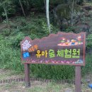 대흥동 유아숲체험원 | 아이랑 수성구) 유아들이 놀기에 딱 좋은 얕은 계곡 물놀이 장소추천, 대흥동 유아숲체험원 후기(D+942)