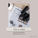 [인사이트] 뉴스레터- 10가지 추천, 메일함으로 찾아오는 인사이트