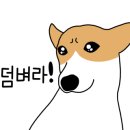 하신번영로 이미지