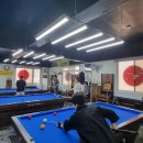 쫑생쫑사 이미지