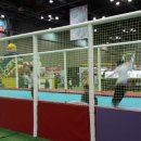 용인대백호태권도 이미지