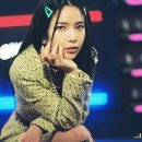펑키트래블 이미지