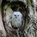 이소농장 이미지