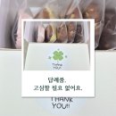 답례품, 고심할 필요 없어요. – 마음을 전하는 수제 비건 쿠키와 브라우니 이야기