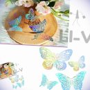 나비마트 이미지