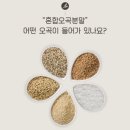 오곡 구성 이미지