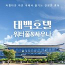 태백카서비스 | 태백호텔 워터풀 사우나청정 자연 속에서 즐기는 사계절 힐링 물놀이 가이드 최대 12%할인 당일 사용