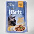 프리미엄캣 | 브릿 프리미엄 캣 주식 파우치 급여 후기