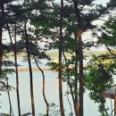 백마강오토캠핑장 | 충남 태안 청산리오토캠핑장 솔직후기｜해루질 가능한 서해 캠핑장