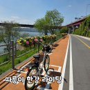 노들섬 | 따릉이 타고 자양역 뚝섬에서 노들섬까지 한강 라이딩