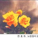 전*호 이미지