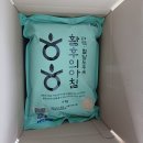 뉴터