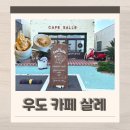 샵살레네 | 우도 하고수동 해수욕장 카페 추천 카페 살레