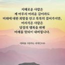 내 마음을 울린 글귀 10선/당신도 공감할 감동적인 이야기들 이미지