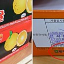 맛있는감귤