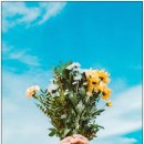 금성가방 - 양천구 중앙로34길 30 | 금성가방