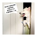 진도돈마당 이미지