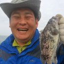 반도낚시 이미지