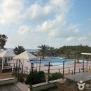 블루하와이호텔 이미지