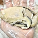 어서오이소 | 크림 가득 바위굴 여름 제철 해산물 내돈내산 삼선바다 택배 후기