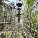 푸른계곡 이미지