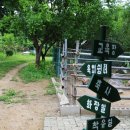 고성리산양목장 이미지