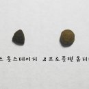 보리맘 이미지