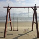 지니비치향 이미지