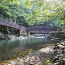 장수덕산로 이미지