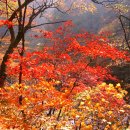 유성온천역(7번 출구) 버스정류장 이미지