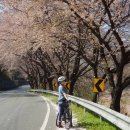 소예랑한의원 이미지