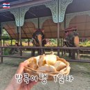 양손꼬지 | 첫 동남아 여행, 태국 방콕 3박5일 첫째날 (망고밥, BTS1일권, 므엉보란, 코끼리바지, 수끼 현지맛집,창...