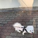 상모동물병원 이미지