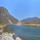 동강할미꽃마을 이미지