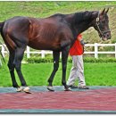 문화목장 이미지