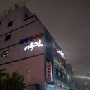 여우집