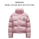 핑크팜 이미지