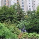 정성부동산중개 이미지