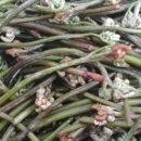 내고향매운탕 이미지