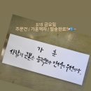 선캘리