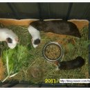 민준농장2 이미지