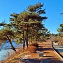 용설호수길 이미지