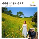 전남 구례 6월 가볼만한곳 지리산치즈랜드 금계국 꽃군락지 인근 맛집