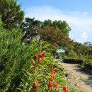 노성면사무소 | 논산 명재고택..배롱나무