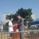 도리초등학교 이미지