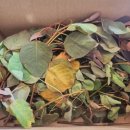 별밤농장 이미지