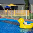 별빛애견펜션 이미지