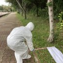 서귀포보건소 이미지