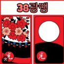 광 Daum카페